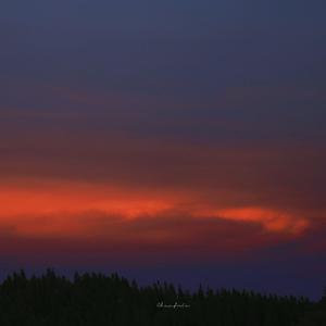 雏田产奶视频在线观看网站
