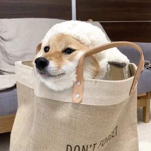 雏田产奶视频在线观看网站
