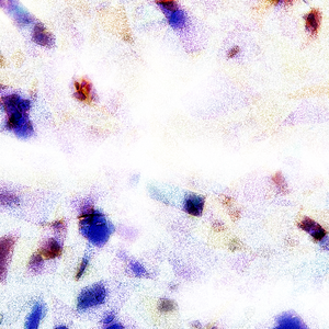 雏田产奶视频在线观看网站
